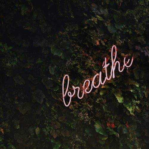 tim-goedhart-vnpTRdmtQ30-unsplash